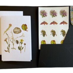 Greeting Card Gift Pack - Botanical